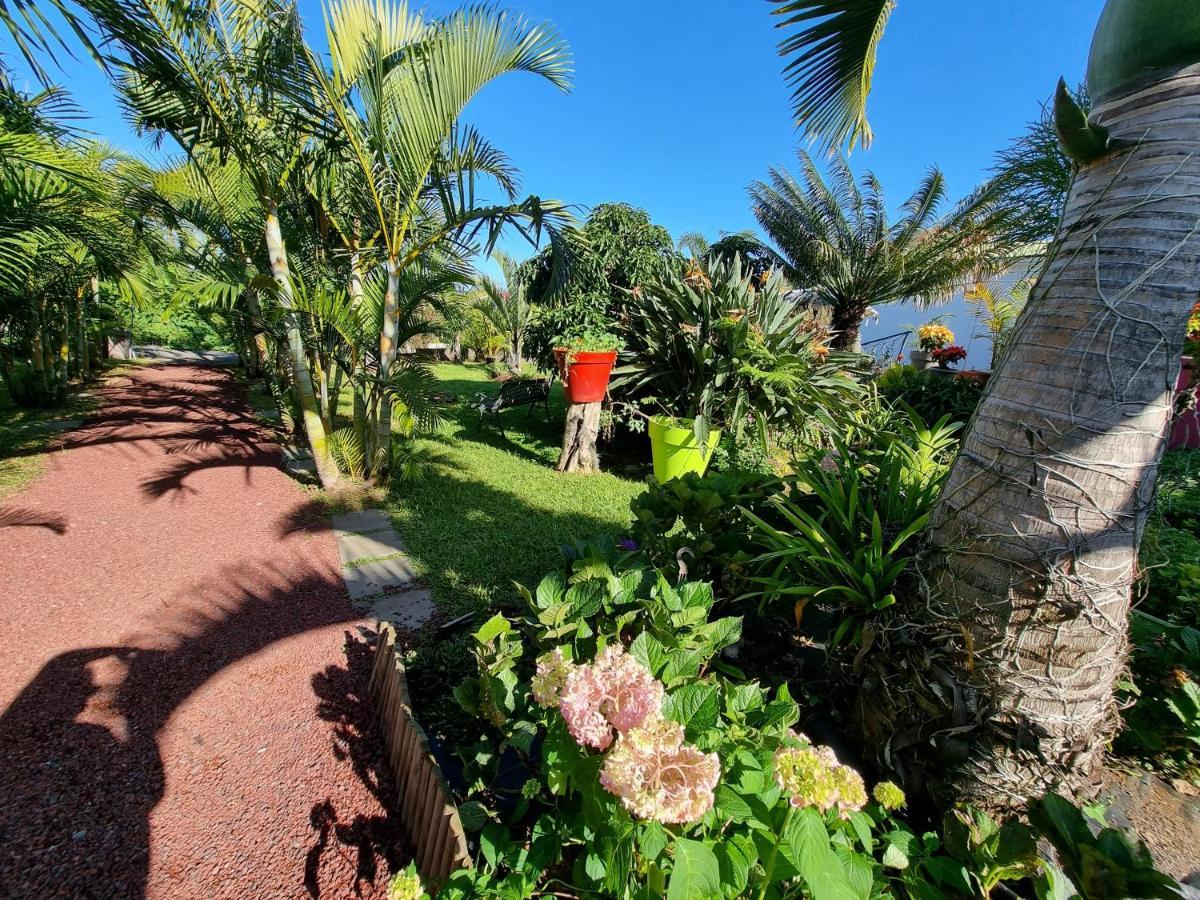 ル・タンポン Le Palmier De La Paix Bed & Breakfast エクステリア 写真