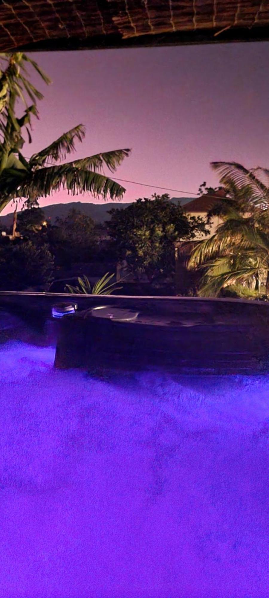 ル・タンポン Le Palmier De La Paix Bed & Breakfast エクステリア 写真